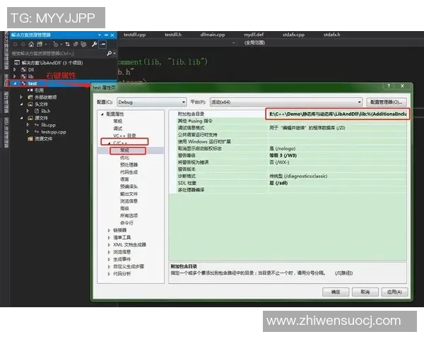 如何在Windows系统中顺利安装VS2008BCG控件并解决常见问题